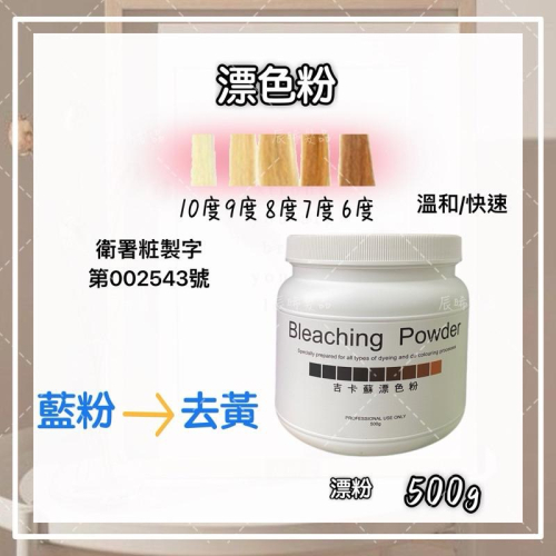 ✝️辰晞髮品✝️ Bleaching Powder 專業人士使用 漂粉 漂色粉 雙氧乳 雙氧水 漂染 專業設計師使用