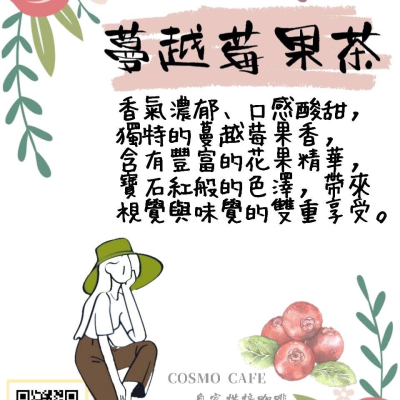 COSMO CAFE 自家烘焙咖啡 蔓越莓茶包12入