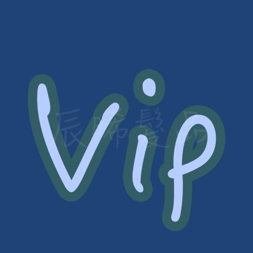 ✝️辰晞髮品✝️ VIP特殊需求