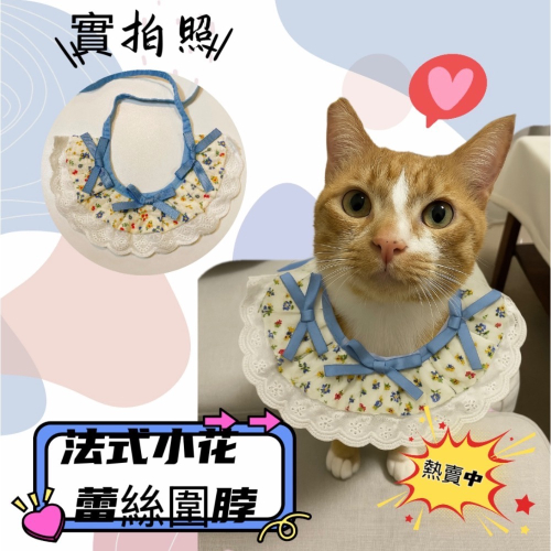 【台中現貨】法式小花蕾絲 貓咪圍脖