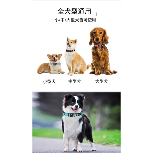 狗狗項圈脖圈結實小狗中大型犬頸圈脖套牽引繩防丟泰迪