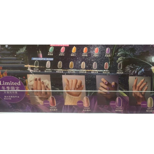 法國製??NAIL HOLIC指甲油??偏光夜叢 偏光中毒 指甲油 變裝女王指甲油 星球之旅指甲油 秋季限定色限量款