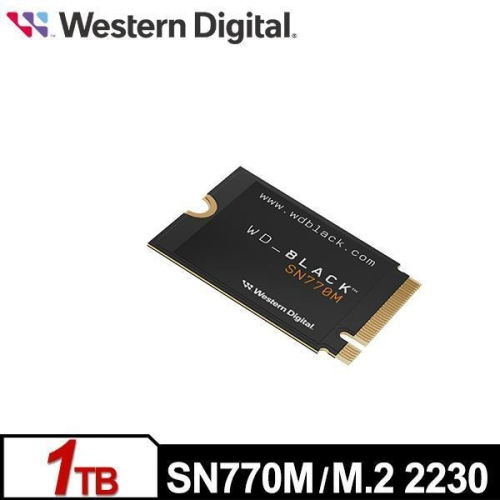 WD 黑標 SN770M 1TB M.2 2230 PCIe 4.0 NVMe SSD 固態硬碟WDS100T3X0G