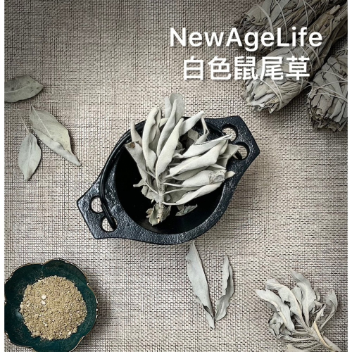 【??????????】 白色鼠尾草 研磨粉 淨化 脈輪 智慧 塔羅牌 寵物淨化 鼠尾草 水晶淨化