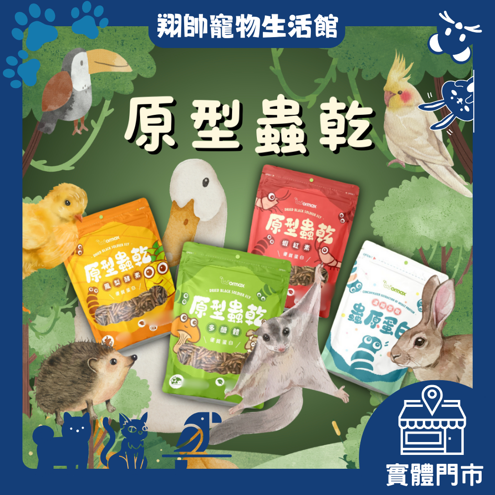 實體門市｜Wormax｜蟲小道大｜黑水虻蟲乾｜蟲乾｜蟲原蛋白｜倉鼠｜蜜袋鼯｜爬蟲｜龜｜鳥｜鸚鵡｜柯爾鴨｜翔帥寵物生活館