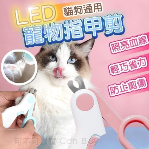 【限時購】寵物指甲剪 貓咪指甲剪 貓指甲剪 狗狗指甲剪 LED發光指甲剪 寵物指甲刀 天竺鼠兔子指甲剪