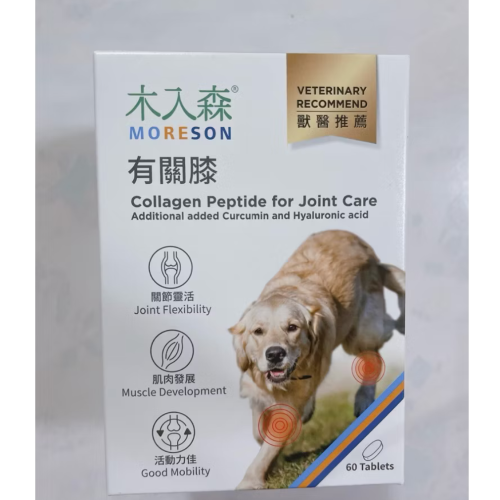 木入森有關膝-犬