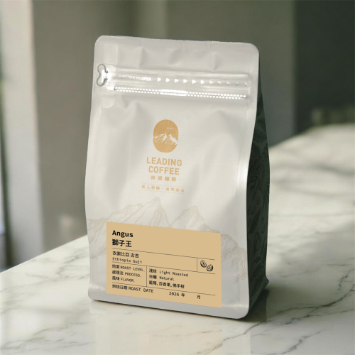 獅子王 衣索比亞 日曬 淺焙 225 g 林道咖啡 LEADING COFFEE