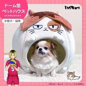 玩具研究中心 排球少年圓頂寵物睡窩-研磨 9月預購1230k