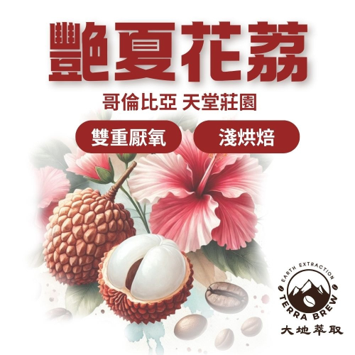 【聚元堂咖啡豆】哥倫比亞 考卡省 天堂莊園 雙重厭氧 艷夏花荔