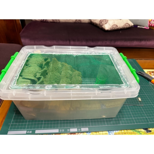 @呂氏不爽餌兒爸@杜比亞飼養箱（大）全套（蛋托×1+飲水器×1+花泥×3）+飼料600g