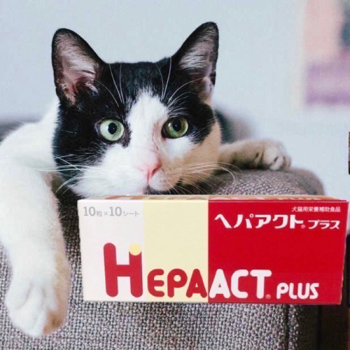 日本全藥 HEPAACT PLUS 肝錠 加強版 100錠 犬貓