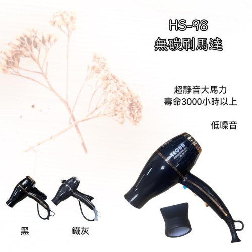 ✝️辰晞髮品✝️ TEQUN無碳刷吹風機 美髮 沙龍 居家使用 專業沙龍吹風機