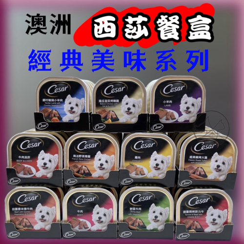 ★JIA★現貨(12種口味) 新鮮貨 Cesar西莎 餐盒 西莎 狗 罐頭 餐罐