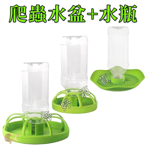 諾摩 寵物水盆+水瓶 自動補水器 餵水器【圍欄款／荷葉款】水盆 陸龜 蜥蜴 小雞 小鴨 喝水器 婷婷水族 兩棲爬寵