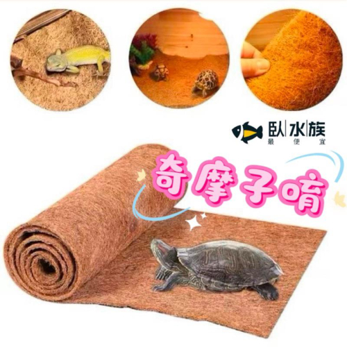 【臥水族】椰棕墊陸龜 蜥蜴 透氣/易清潔/減少異味/可清洗曬乾重覆使用 爬蟲地墊 烏龜床