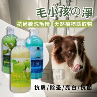 威哥寵物 毛小孩的淨 犬貓用洗毛精 大容量1000ml 寵物洗毛精 除臭/抗屑/白毛/除蚤 沐浴精 味道清香~ 植物配方
