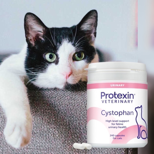 Protexin Cystophan for Cats 安泌利 240粒 犬貓泌尿道膀胱黏膜保護