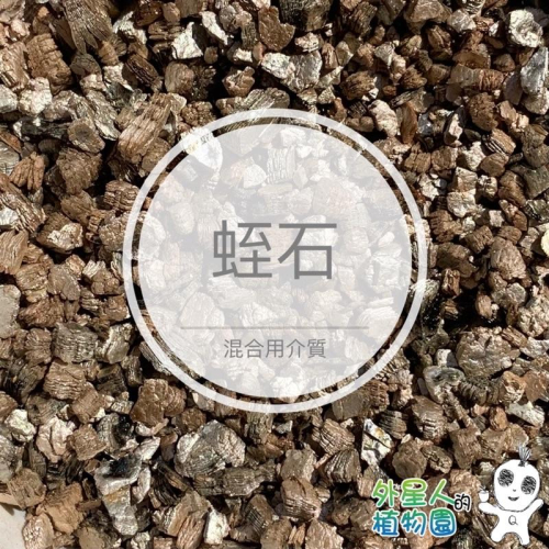 現貨 【滿額免運】蛭石 一公升 觀葉 多肉 混合介質 【外星人的植物園】