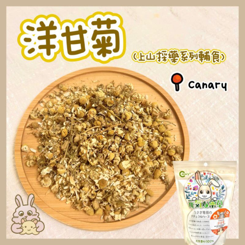 鼠兔星球 丨 Canary 洋甘菊 墊料 裝飾 倉鼠 黃金鼠 兔子 龍貓 天竺鼠