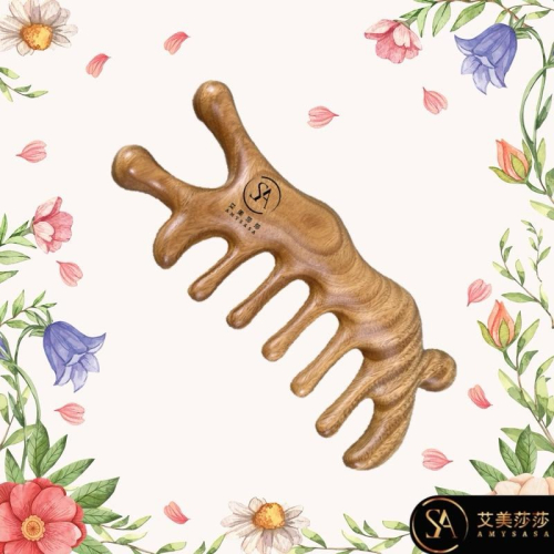 艾美莎莎?現貨 加厚加大 綠檀十齒按摩 鼻子按摩 鼻翼按摩按摩器 迎香穴 鼻樑按摩 刮鼻子 按摩梳 刮痧器 頭部頭療刮痧