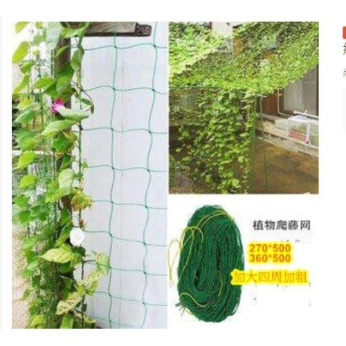 ??拉拉Lalas 園藝植物爬藤網瓜果牽牛花攀援花卉爬藤植物用爬藤繩加大四周加粗23-7