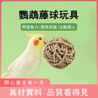4027?現貨?鸚鵡兔兔腳下玩具 啃咬草編球 藤編球 稻草球 解悶 小寵物玩具 手工編織
