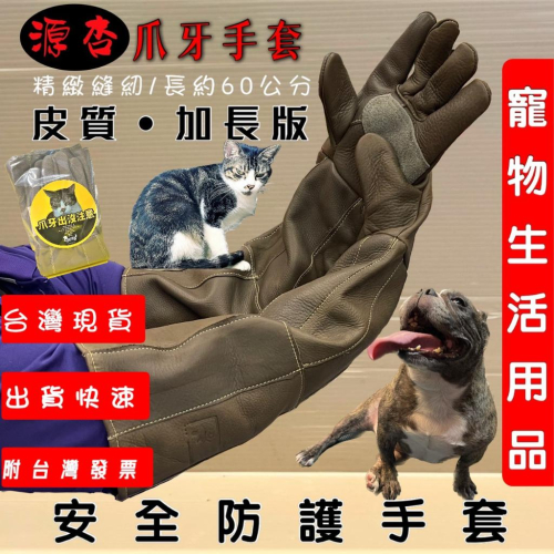源杏爪牙手套 大號 60cm 防咬 手套 掌心二層皮質 寵物 防抓咬 防護 貓抓狗咬 皮質加厚 鸚鵡 刺蝟☆妤珈寵物店☆