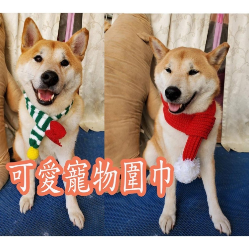 可愛寵物圍巾 狗狗聖誕裝飾 貓咪保暖圍巾