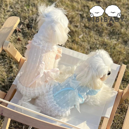 寵物簡約夏季小短裙