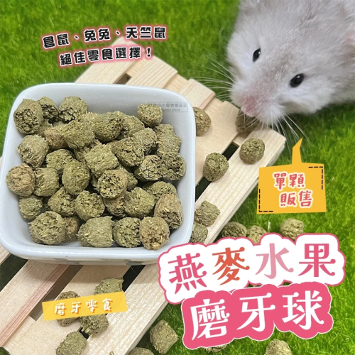 【現貨】小動物用燕麥水果磨牙球 倉鼠零食 黃金鼠 鼠兔零食 兔子零食 兔用磨牙 天竺鼠 小寵零食 小動物點心 小動物