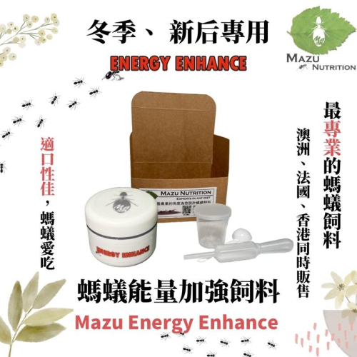 （冬季、新后專用）螞蟻飼料 Mazu Energy Enhance for Ant 養螞蟻/螞蟻飼料/螞蟻巢