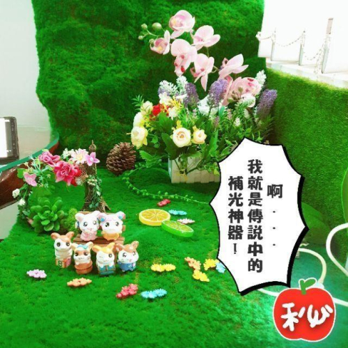 ?就差這個燈?大升級 超好用美食攝影 商品攝影神器! 手機不能開閃光燈您知道嗎?美食 直播 自拍 商品攝影 補光燈