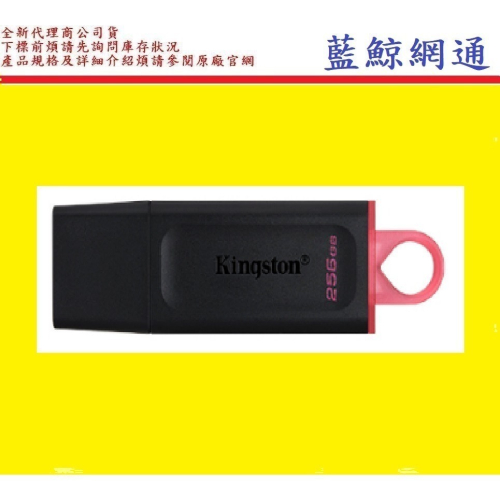【藍鯨】全新公司貨 金士頓 Kingston DTX 256GB 256G USB3.2 Gen 1 隨身碟 256GB