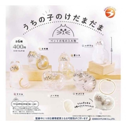 Bright link扭蛋/ 我家毛孩透明吊飾/ 6款套組