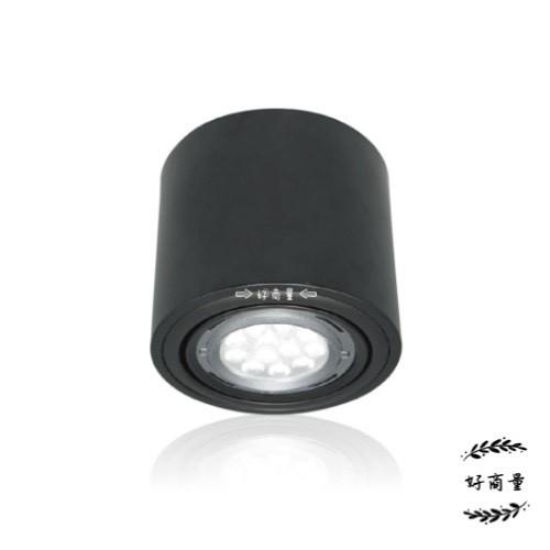 新莊好商量~舞光 AR111 替換式筒燈 黑/白 不含燈泡 LED-25002 空台 可裝 AR9W/14W