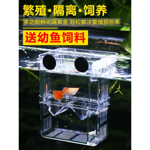 魚缸隔離盒保護小魚苗產卵魚寶寶虎苗迷你鸚鵡魚小型懸浮式漂浮網