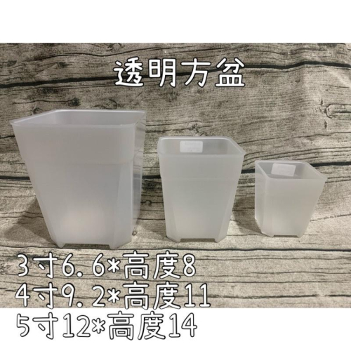 透明方盆 多肉花盆 塑膠花盆 花盆 造型花盆 透氣盆 盆栽 花盆 多肉 可愛花盆