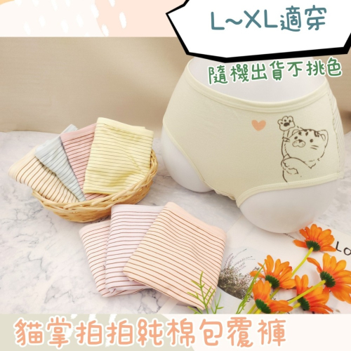庭兒柑仔店?【33ZNL91】中腰 純棉內褲 超透氣 三角褲 女生內褲 貓咪內褲 動物內褲 貓奴