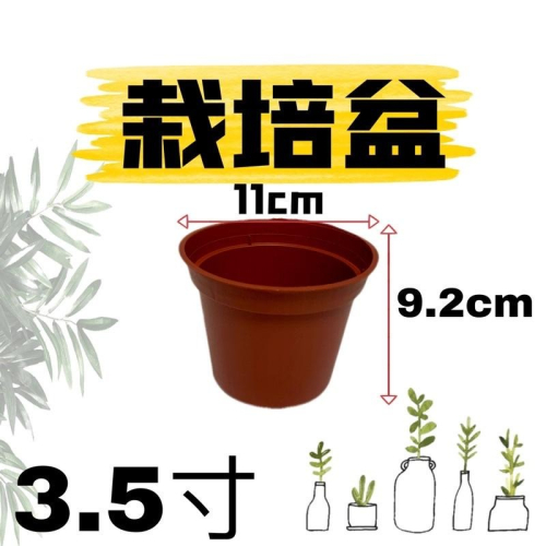 3.5吋栽培盆 紅盆 育苗盆10個/組