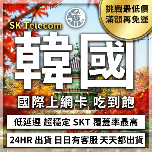 六仔電訊>韓國網卡 首爾 濟州島 釜山 隨插即用 SKT 吃到飽 不降速 韓國SIM卡 韓國上網 韓國網路 韓國電話卡