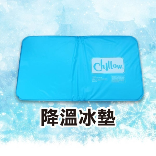 涼感激增！《降溫冰墊》睡眠冰枕 冰枕頭 水枕 涼枕 冰晶枕 水袋枕頭 散熱枕 夏天 夏季 4 直購 【飛兒】