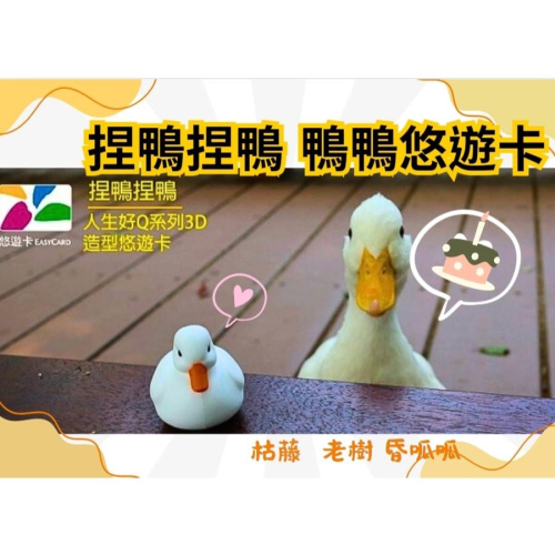 人生好Q系列3D造型悠遊卡-捏鴨捏鴨 鴨子悠遊卡 鴨鴨悠遊卡