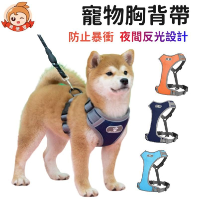 狗牽繩胸背帶?真便宜現貨?寵物胸背帶 夜間反光胸背帶 牽繩 狗狗胸背帶 寵物胸背帶 狗狗背帶 狗鏈 狗牽繩
