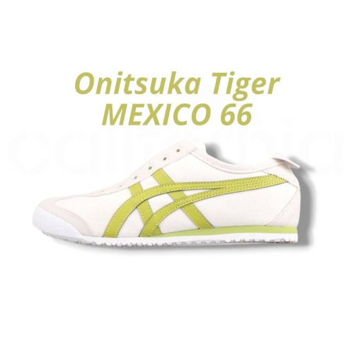 ?Onitsuka Tiger 鬼塚虎-蘋果綠白色 MEXICO 66 休閒鞋 男女通用款
