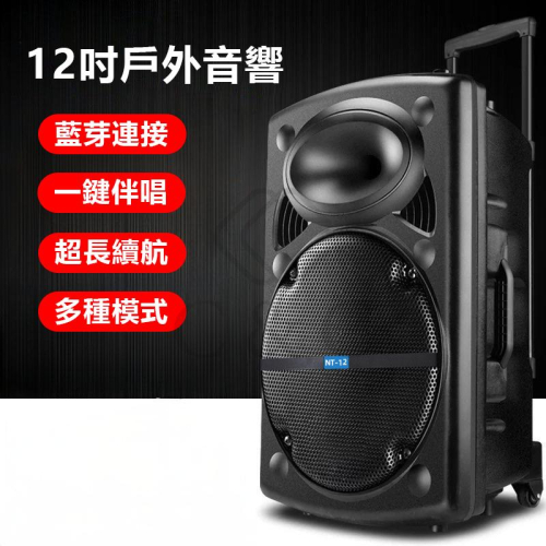 【店面限貨】隨走隨唱 藍芽音箱 12吋藍牙音箱 廣場舞音響 音箱戶外 拉桿音響 戶外藍牙拉桿音響 無線話筒 K歌音箱