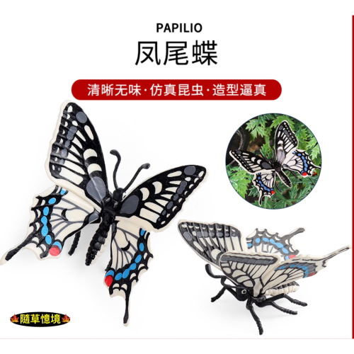 （高品質畫工）仿真 鳳尾蝶 蝴蝶 蝶 彩蝶 節肢 昆蟲模型 野生動物 兒童玩具 益智 公仔 SPG