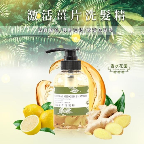 香水花園 激活薑片洗髮精 250ml 控油滋養 生薑洗髮-PQ美妝