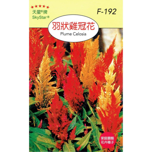 四季園 羽狀雞冠花【穗耕種苗】天星牌 花卉原包裝種子 保證新鮮種子