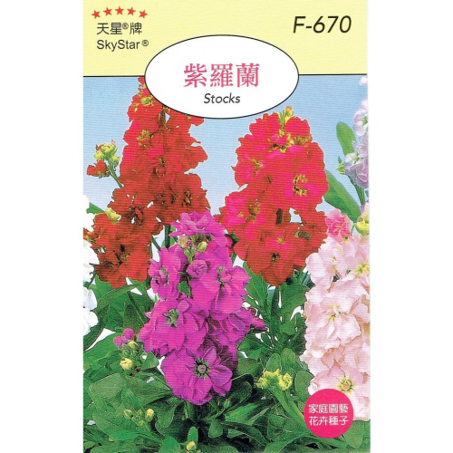 四季園 紫羅蘭【穗耕種苗】天星牌 花卉原包裝種子 花語:相信 保證新鮮種子